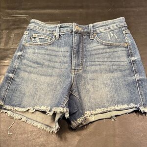 Judy Blue Light Blue Frayed Hem Denim Shorts
